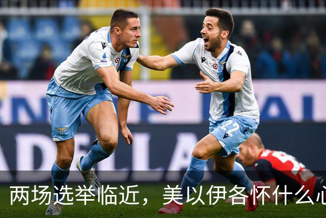 两场选举临近，美以伊各怀什么心思