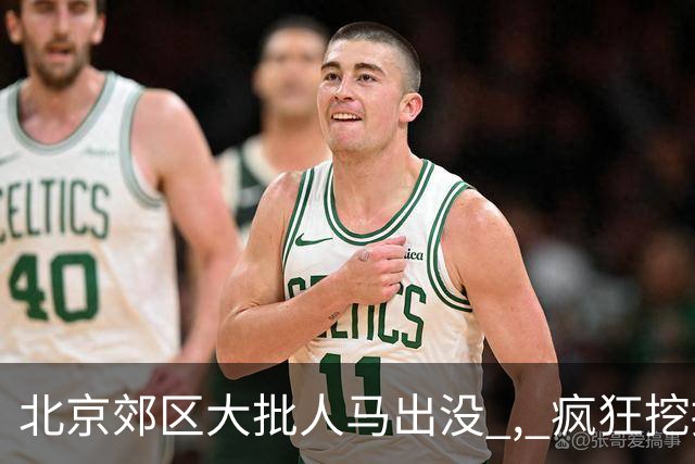 北京郊区大批人马出没 , 疯狂挖掘神秘“黑疙瘩” , 因滥采已岌岌可危