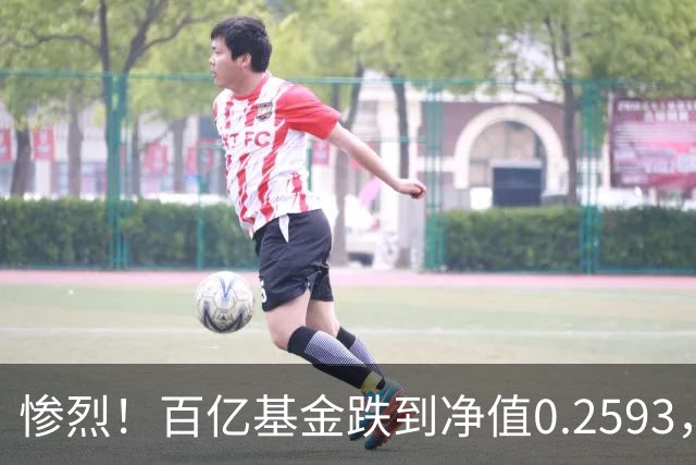 惨烈！百亿基金跌到净值0.2593，暴跌74%！无数基民不敢打开账户